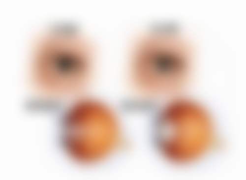 FAQ：常见问题解答