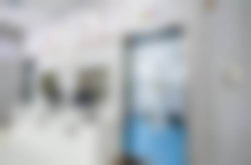 擅长项目详解