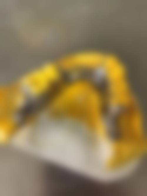常见问题解答FAQ