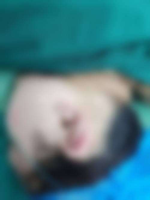 常见问题解答