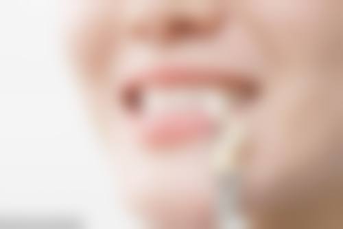 核心项目与服务特色介绍