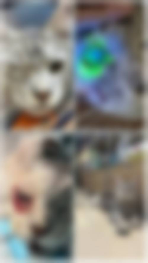 患者真实评价