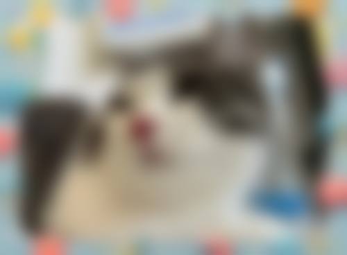 医生资质介绍