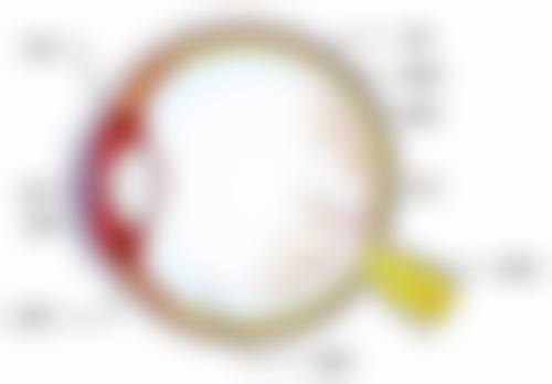 诊疗特色总结:技术与服务的理想结合