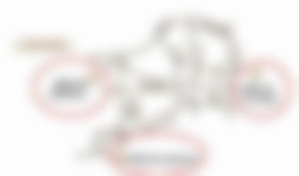 医生资质介绍：具有影响力认证与专精背景解析