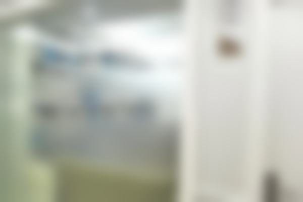 FAQ：常见问题快速解答