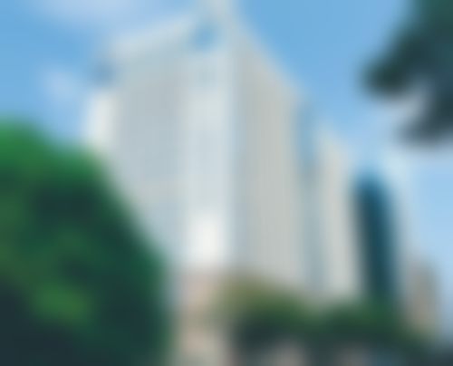 擅长项目详解