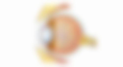 服务流程与优惠活动