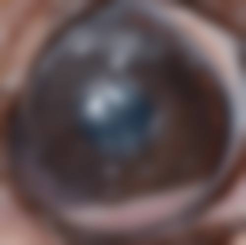 总结与预约指引